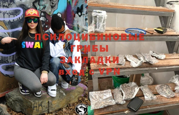 a pvp Алзамай
