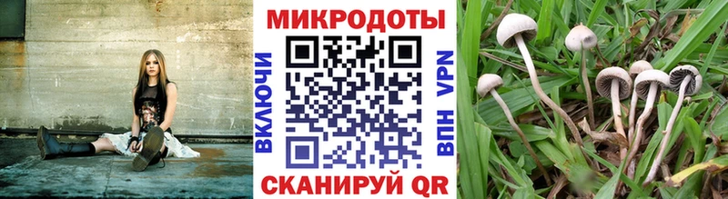 Псилоцибиновые грибы Psilocybe  МЕГА ссылка  Туринск 